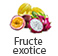 fructe exotice